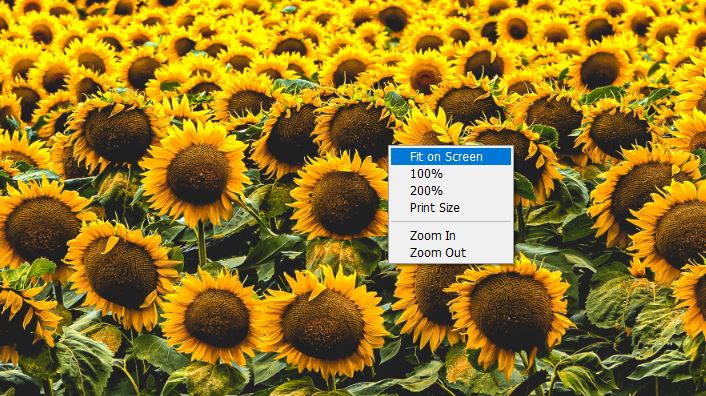 how to zoom on photoshop