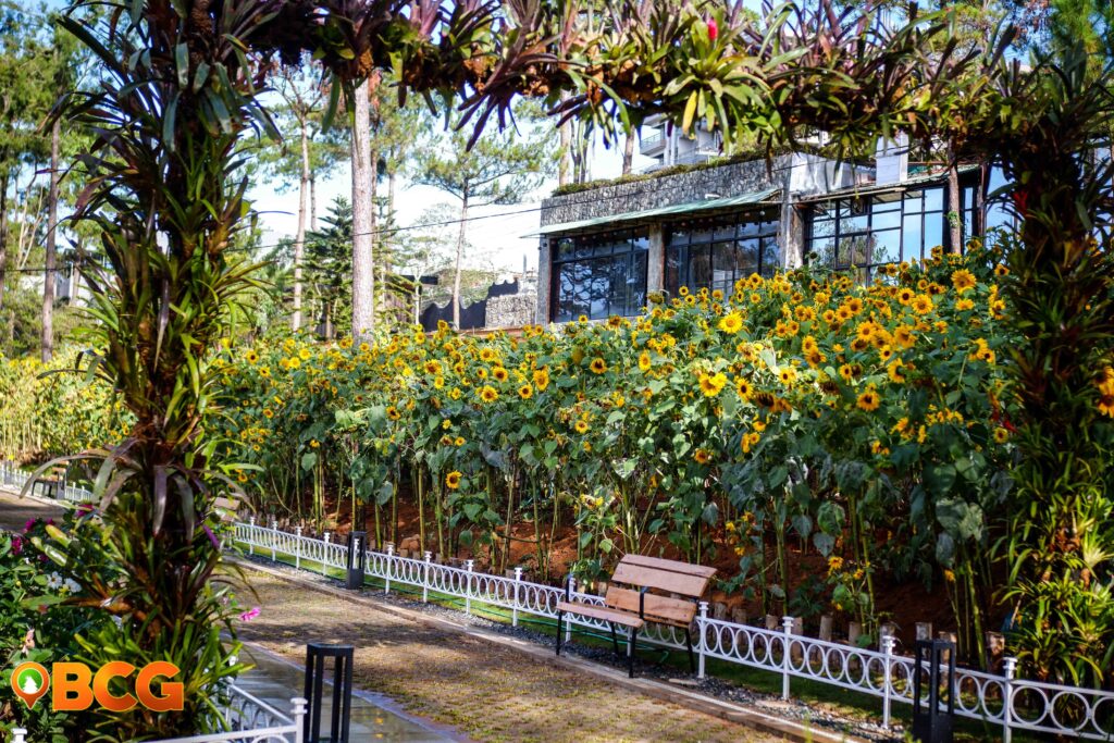  new baguio botanical garden