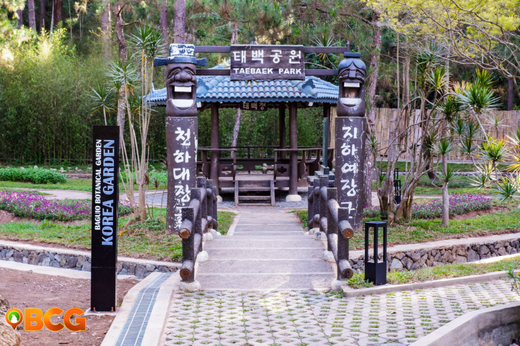 photo of Botanical Garden Baguio City Taebaek Park