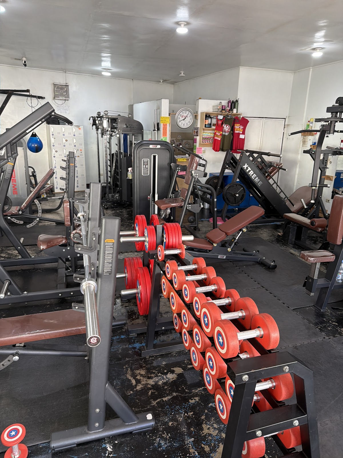 Muscle and Wellness