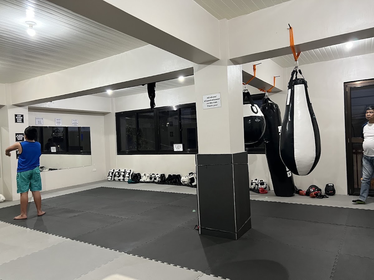 Dojo Kaizen 2600