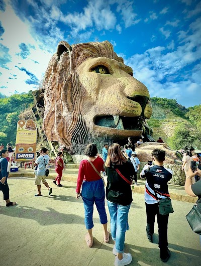Lion’s Head