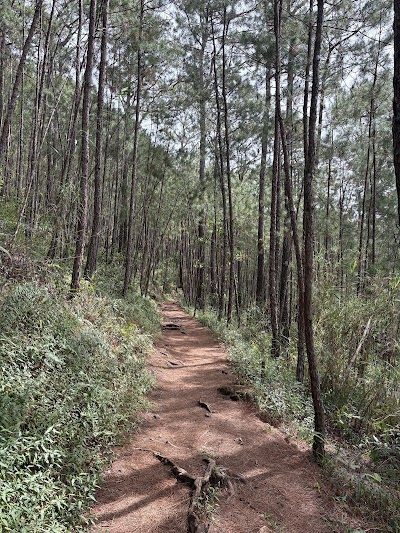 Camp John Hay - Gate Entrance