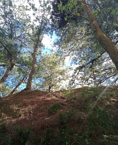 Burlington County Nature Reserve