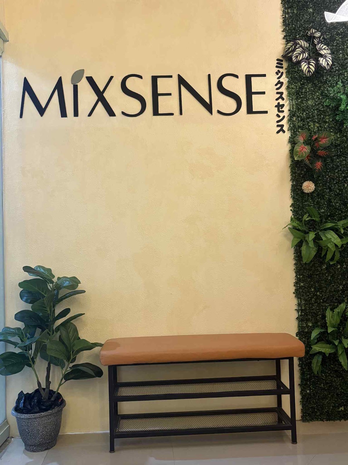 Mixsense Spa