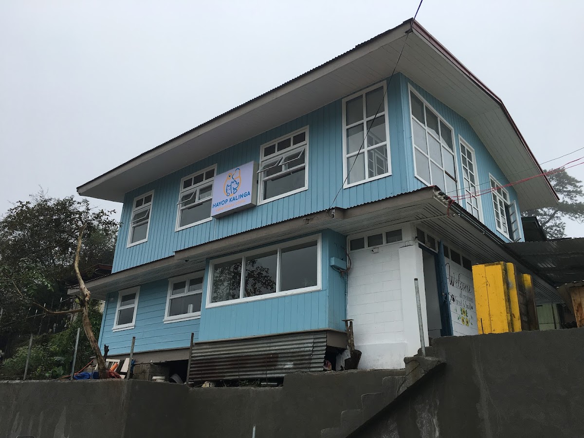 Hayop Kalinga Veterinary Clinic Baguio