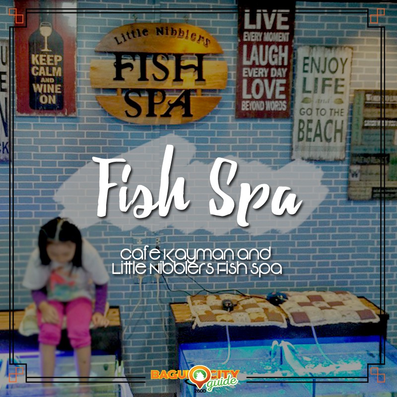 fish-spa