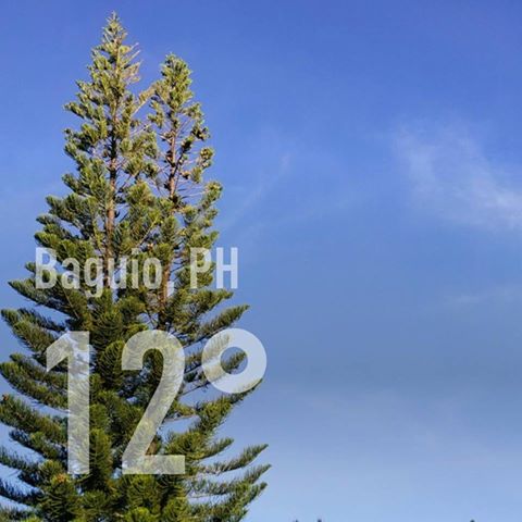 cool-weather-baguio-city