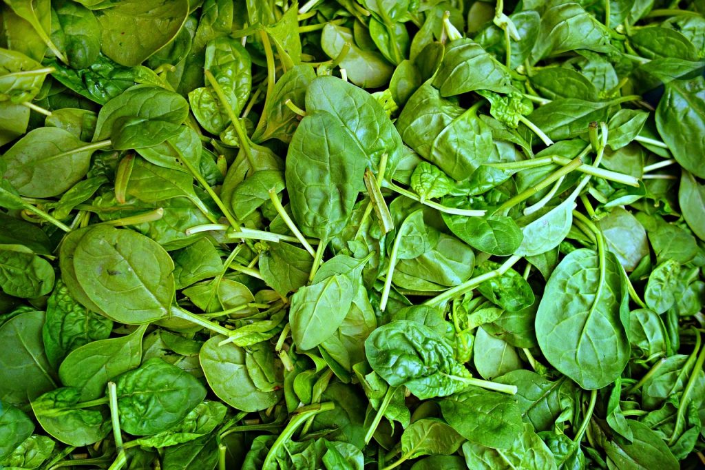 spinach-baguio-city