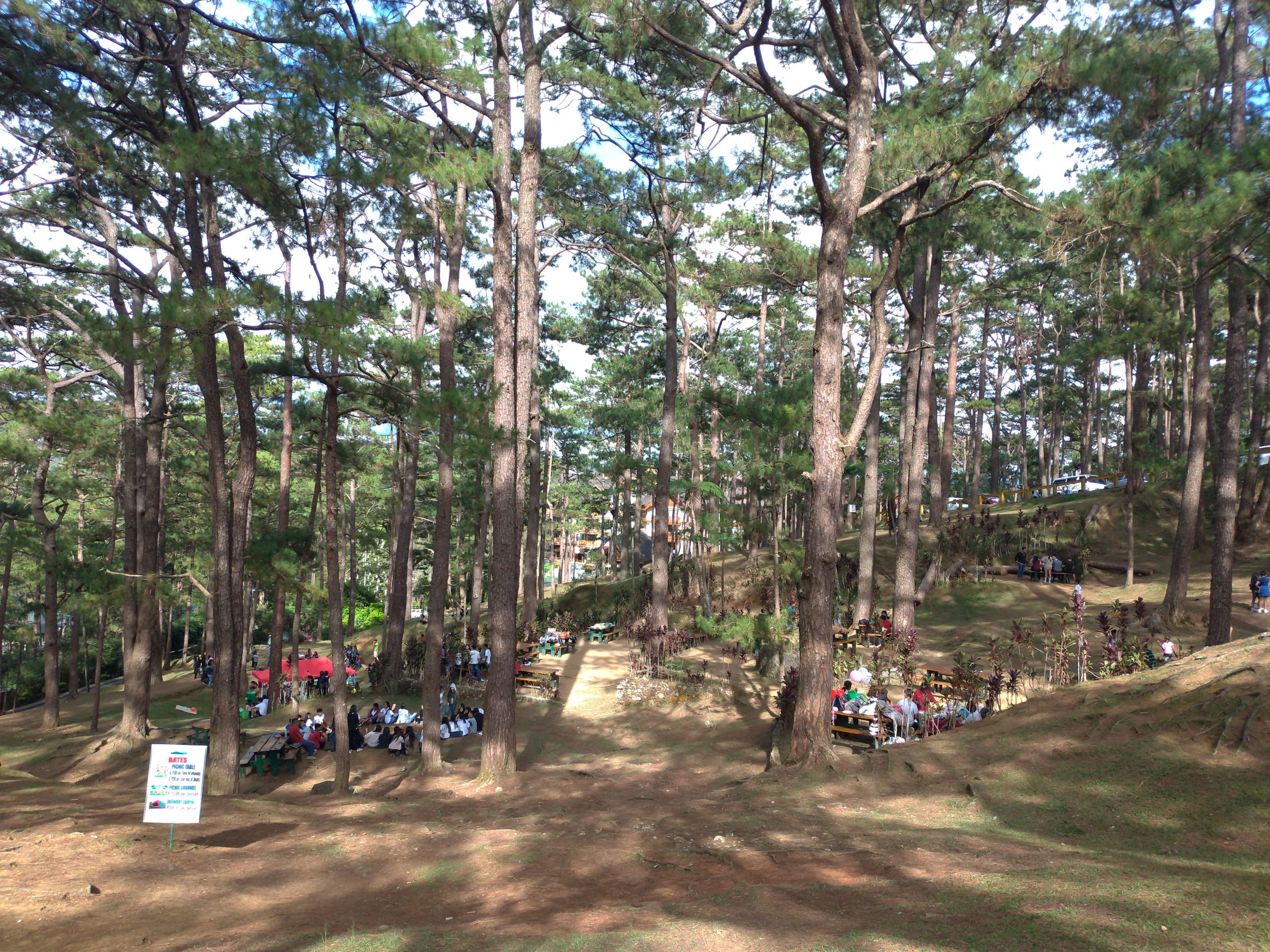camp-john-hay-picnic-grounds