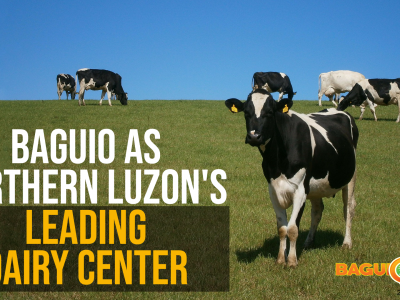 Baguio Animal Breeding and Research Center Archives - Baguio City News,  Information and Lifestyle