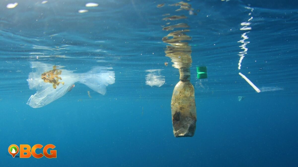 Largest ocean plastic pollutant