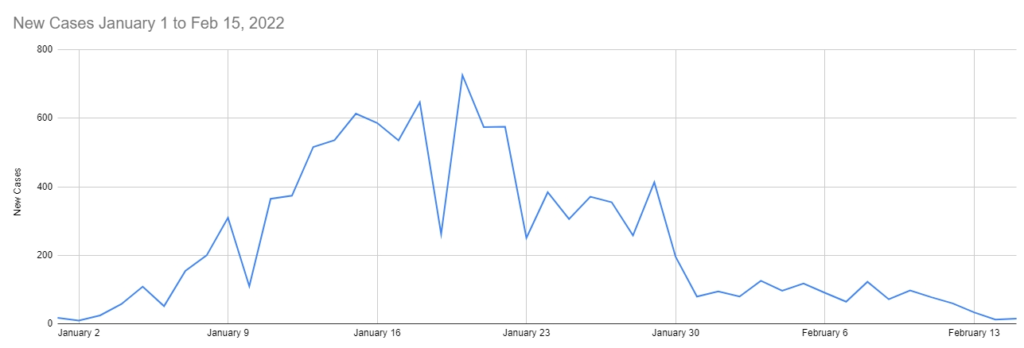 Graph on the daily number of cases from January 1 - February 15, 2022