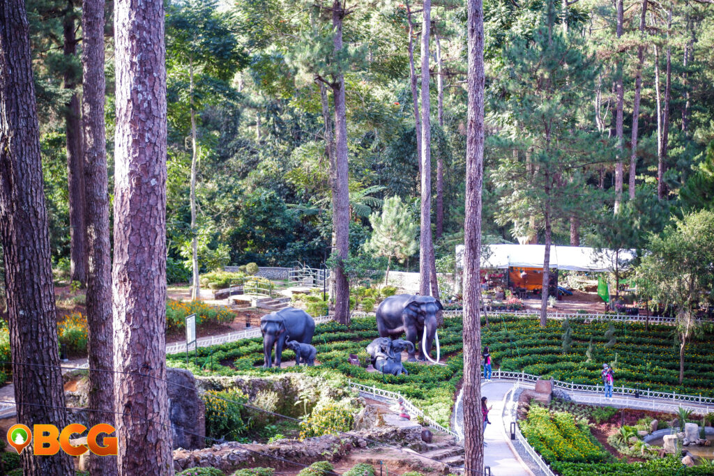 Botanical Garden Baguio City Entrance Fee | Fasci Garden