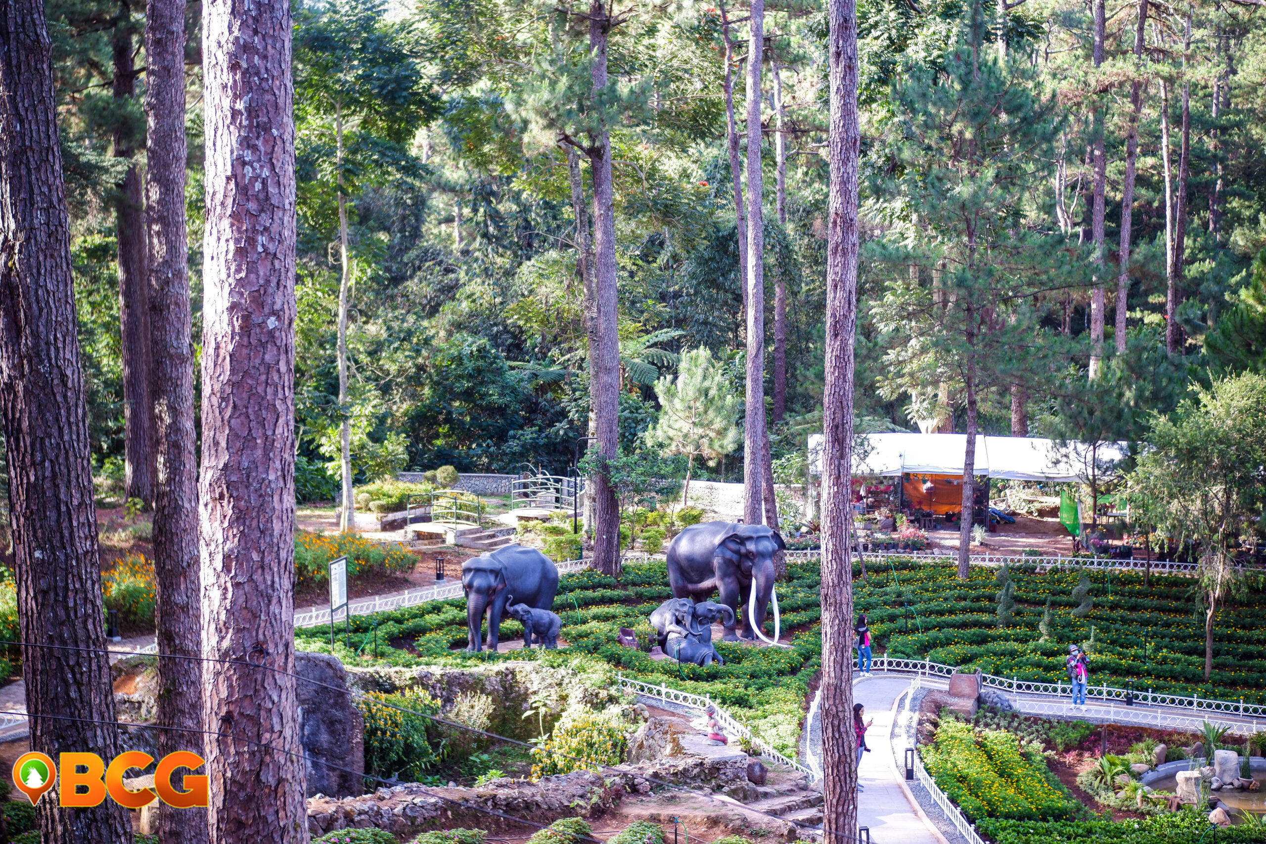 Botanical Garden Baguio City Thailand Friendship Park