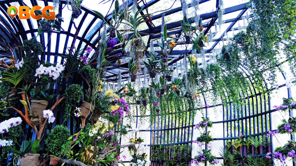 baguio botanical garden 2022 orchidarium