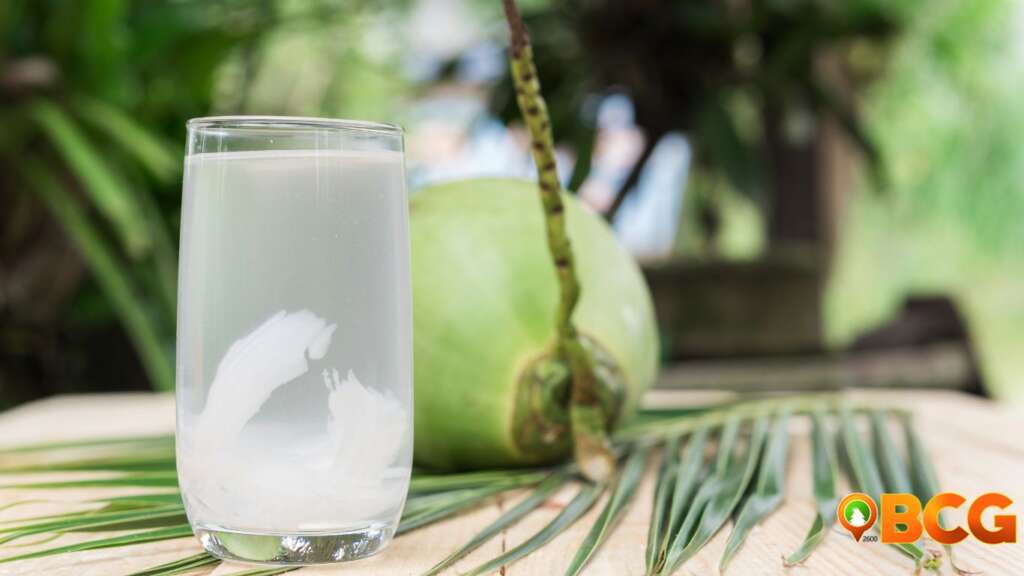 Coconut Water Vitamins Minerals
