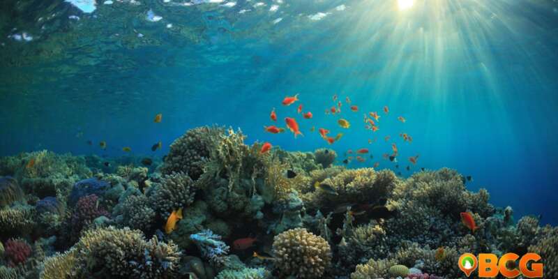 El Nino Coral Reefs