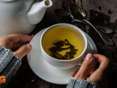 Flavanols Green Tea