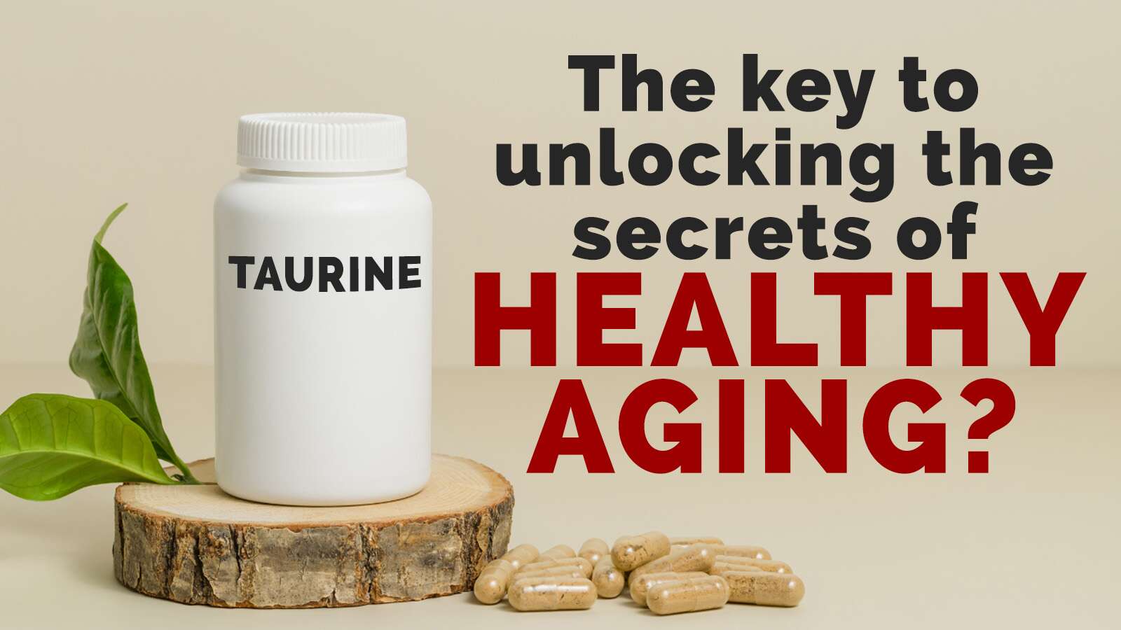 Taurine The Key to Unlocking the Secrets of Healthy Aging? BCG