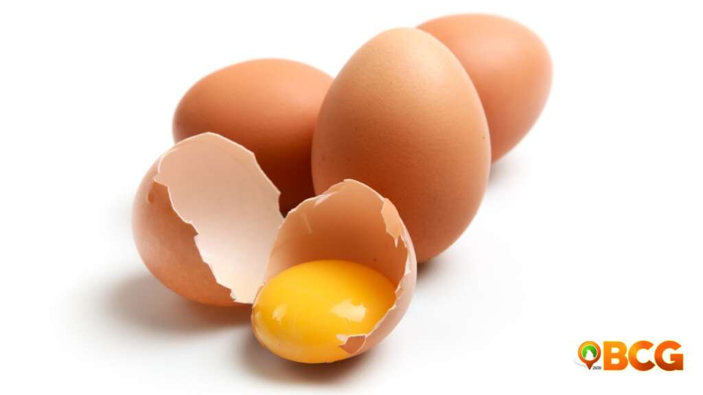 Egg Yolk Vitamin D Source