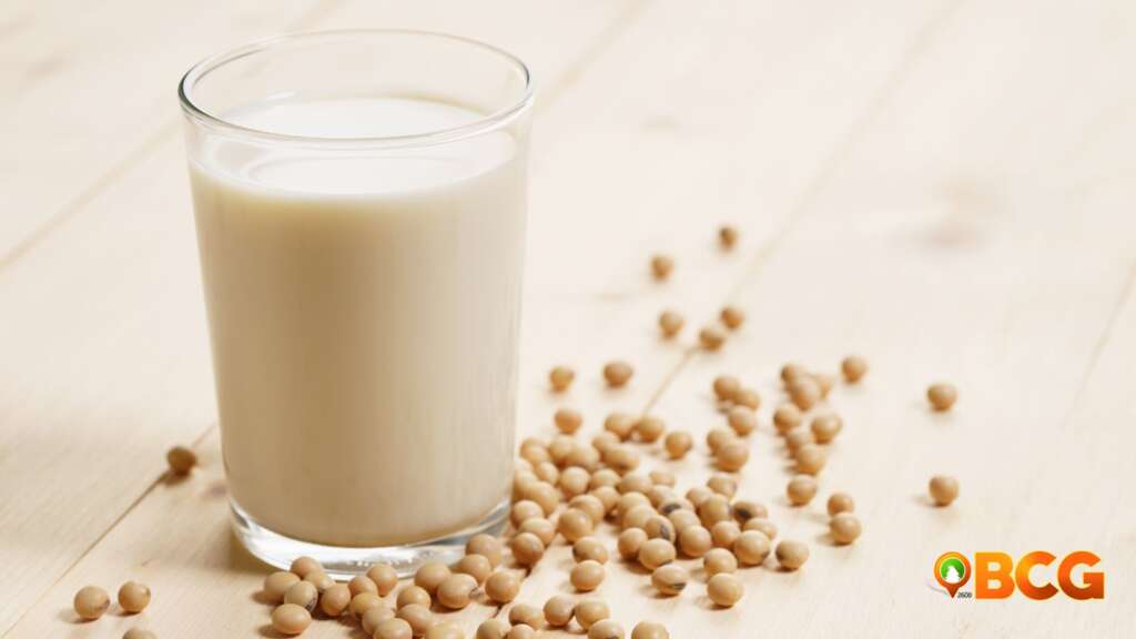 Soy Milk Vitamin D Source