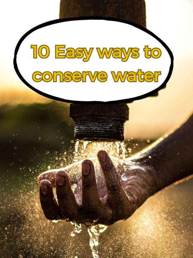10 Easy ways to Conserve Water