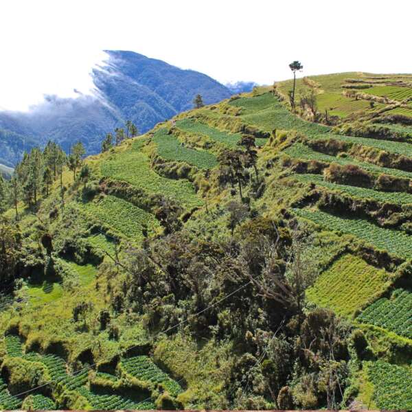 baguio tourist spot igorot stone kingdom