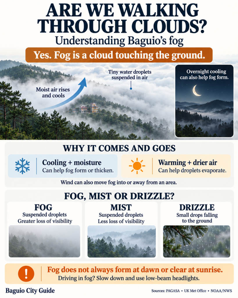 Dense fog envelops a landscape, creating a mystical atmosphere in Baguio, often appearing like walking through clouds.