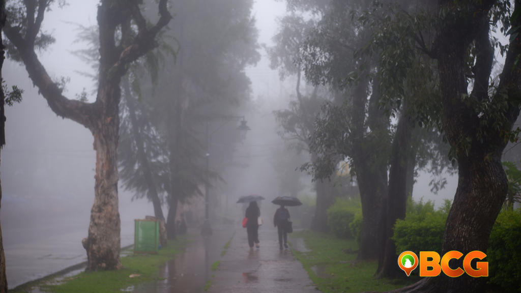 Baguio's fog envelops a serene landscape, creating a dreamy, cloud-like atmosphere.
